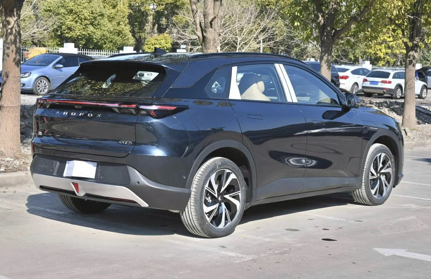 Arcfox Alpha T5-13