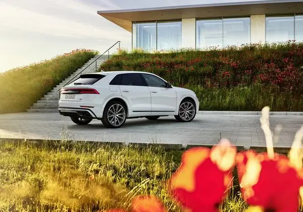 Audi Q8 (4M)-11