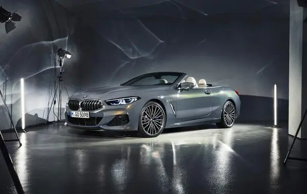 BMW 8 Серии Cabrio (G14)-5