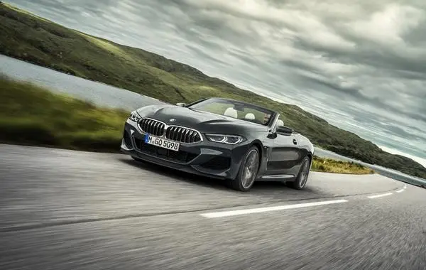 BMW 8 Серии Cabrio (G14)-7