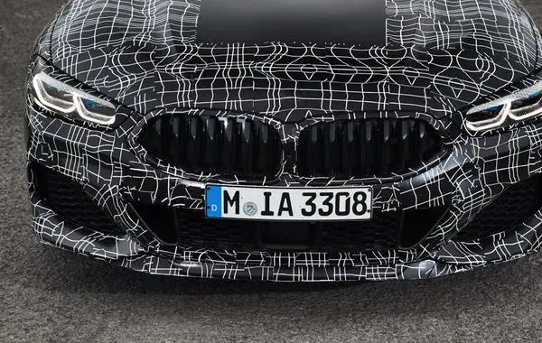 BMW 8 Серии (G15)-8