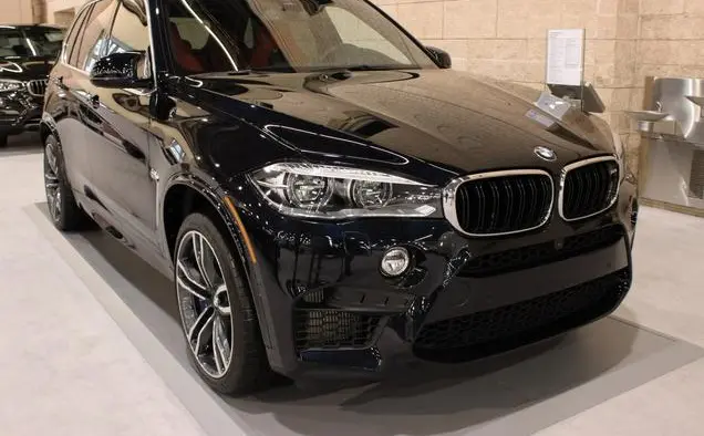 BMW X5 M (F85)-15