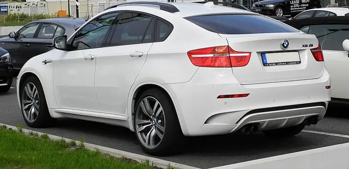 BMW X6 M (E71)-1