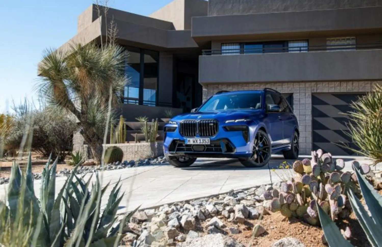 BMW X7 (G07, facelift 2022)-11
