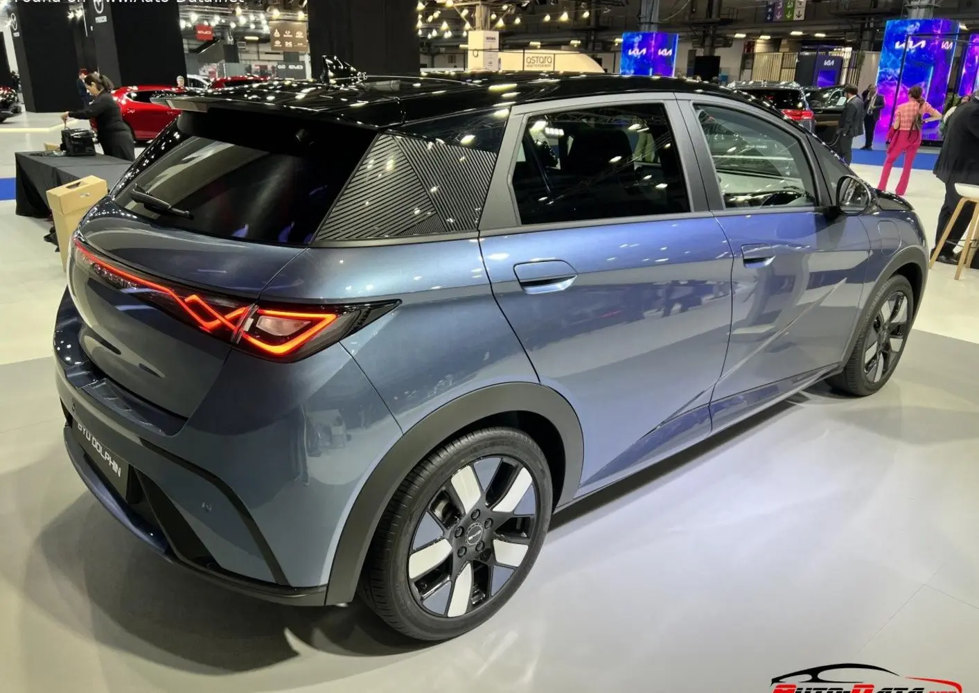 BYD Dolphin-6