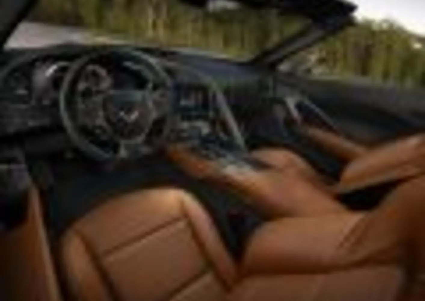Chevrolet Corvette Targa (C7)-0
