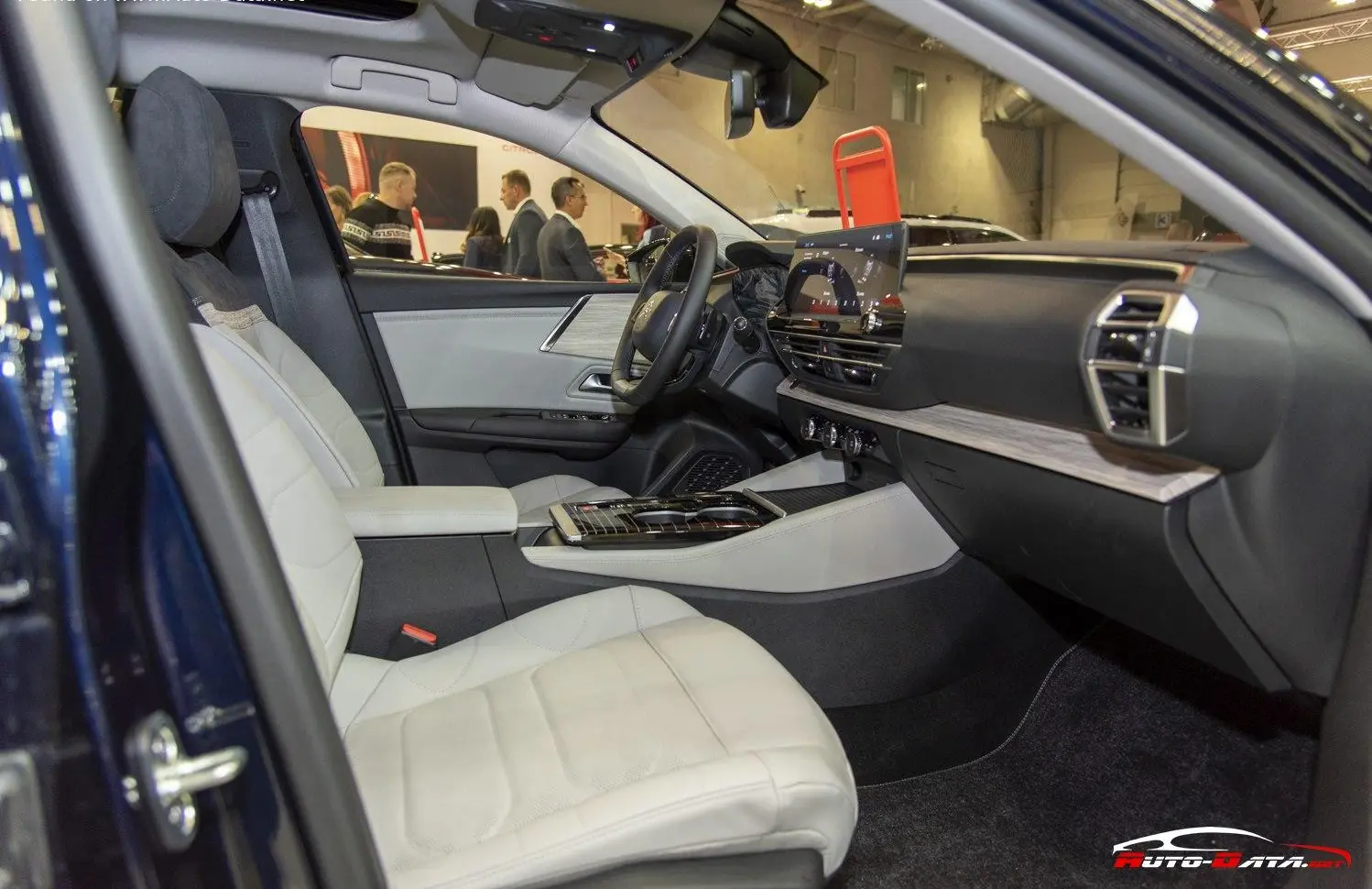 Citroen C5 X-6