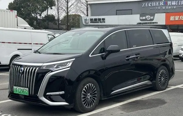 Denza D9