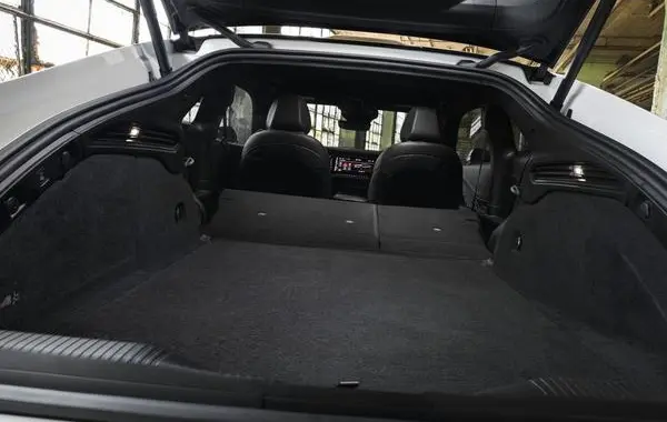 Dodge Charger VIII 4-Door-5