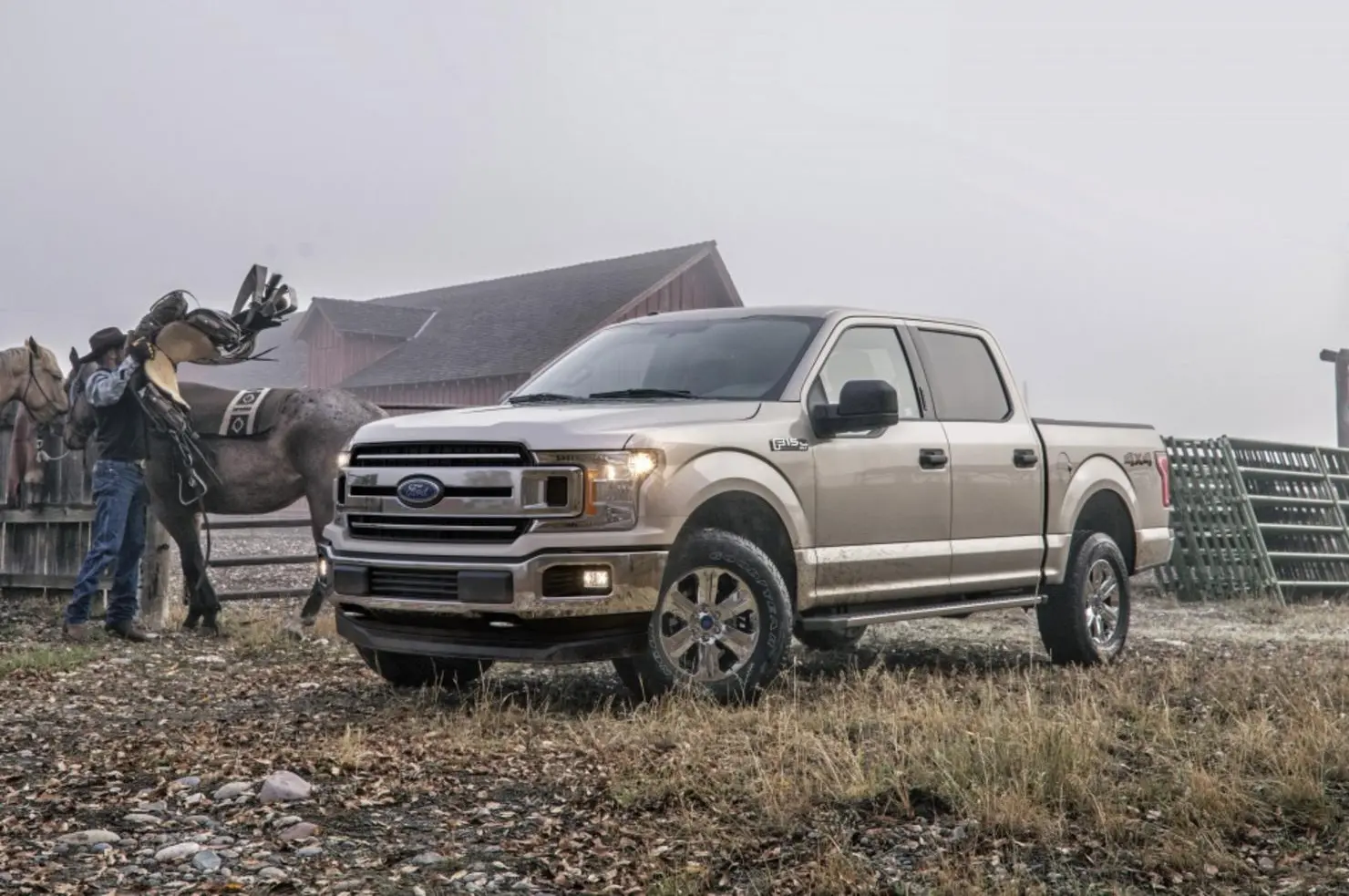 Ford F-Series F-150 XIII SuperCrew (facelift 2018)-1