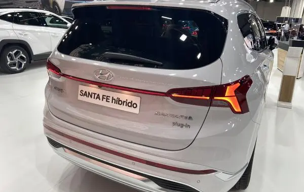 Hyundai Santa Fe IV (TM, facelift 2020)-4