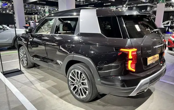 KGM Torres-6
