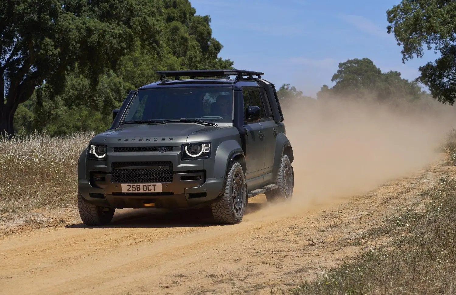 Land Rover Defender 110 (L663)-5