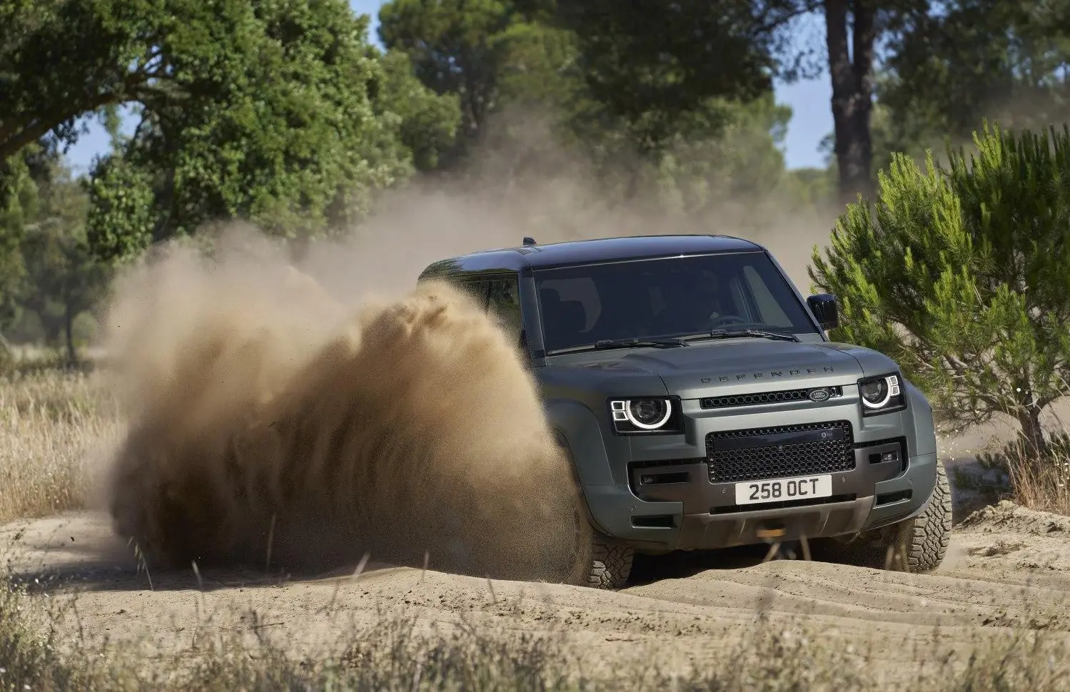 Land Rover Defender 110 (L663)-6