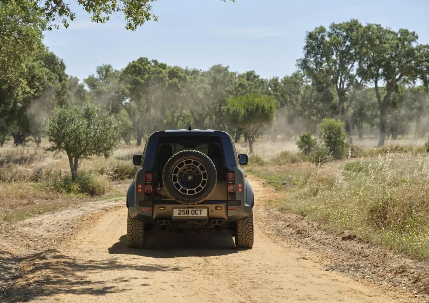 Land Rover Defender 110 (L663)-8