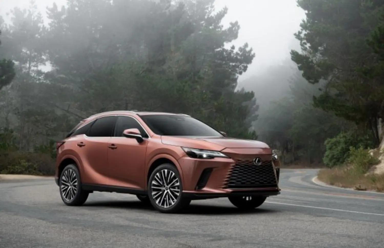 Lexus RX V-1