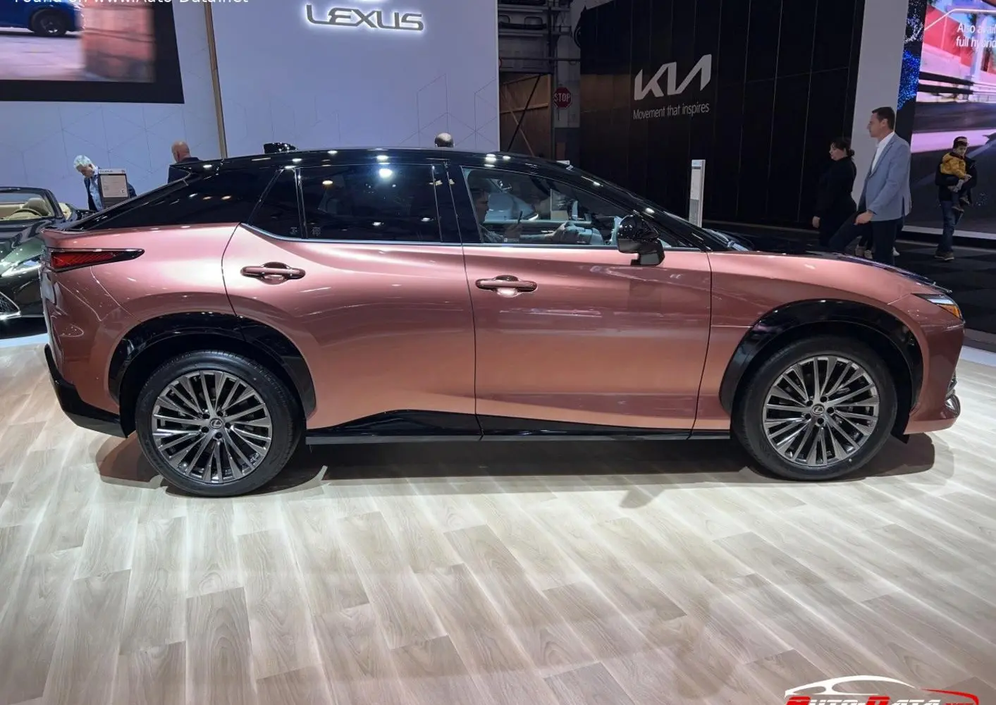 Lexus RZ-6