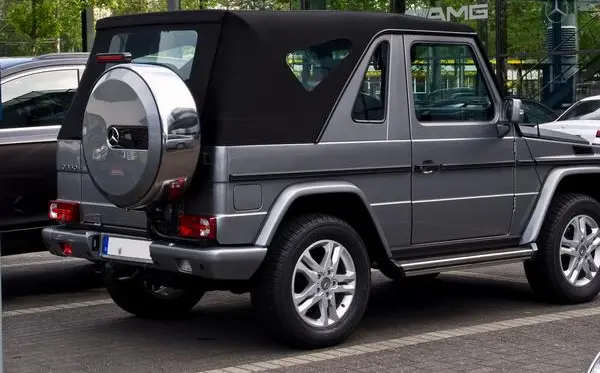 Mercedes-Benz G-Класс Кабриолеты (W463, facelift 2008)-0