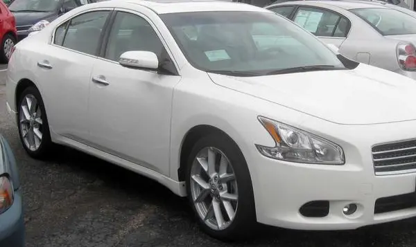 Nissan Maxima VII (A35)-15