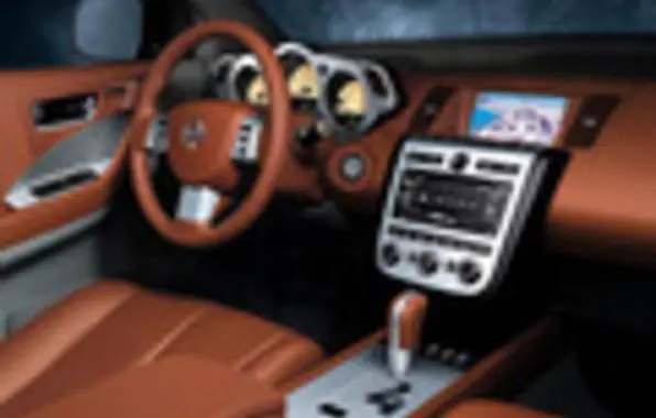 Nissan Murano I (Z50)-8