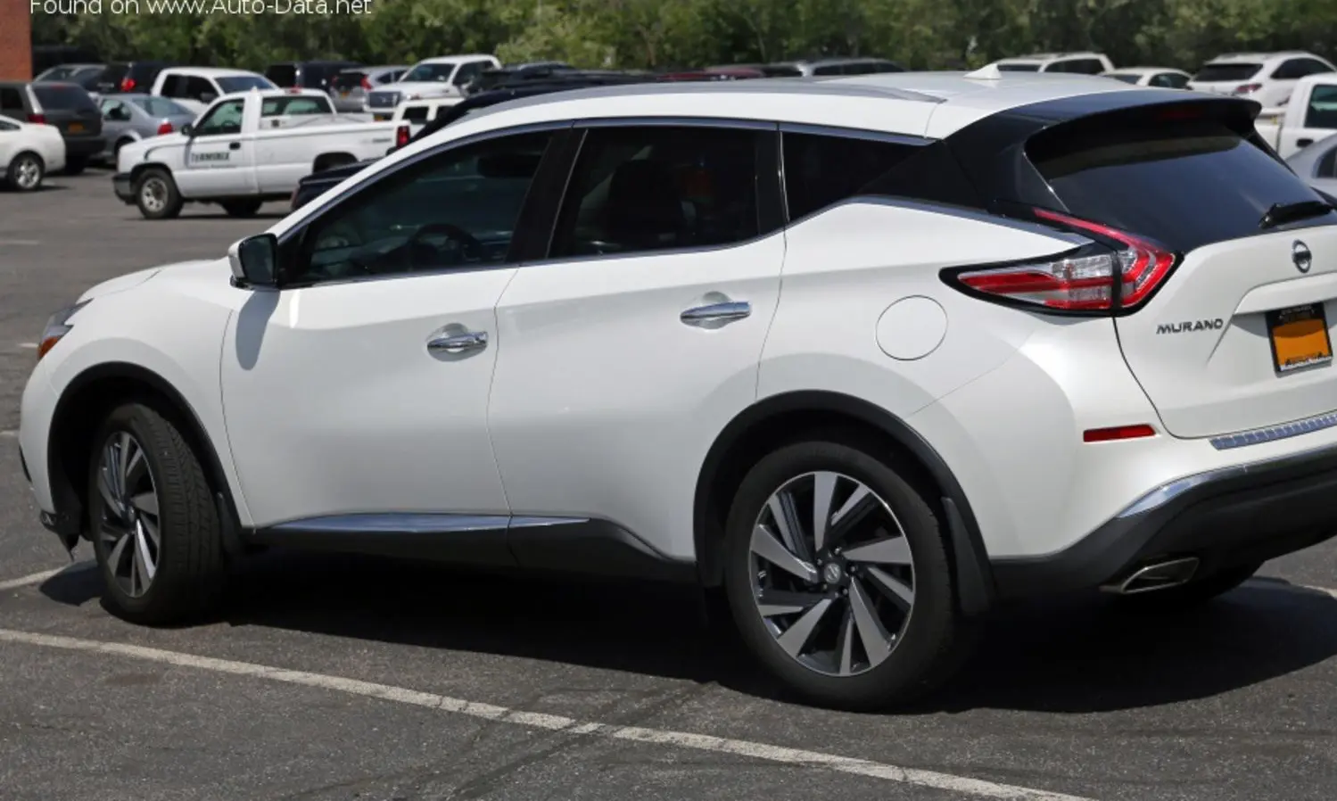Nissan Murano III (Z52)-2