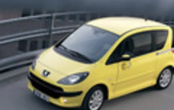 Peugeot 1007-5