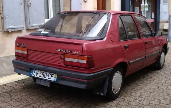 Peugeot 309 (10C,10A)-3