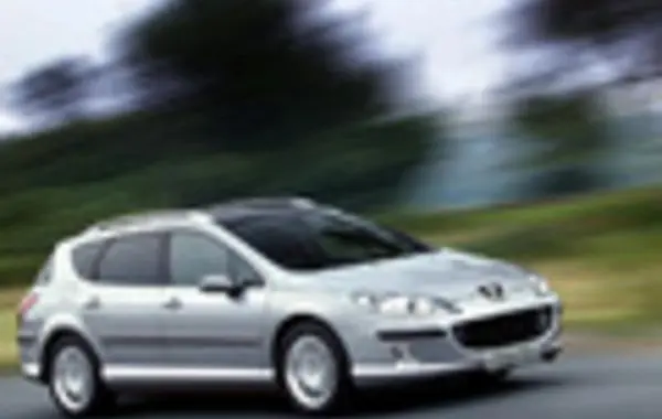 Peugeot 407 SW-5