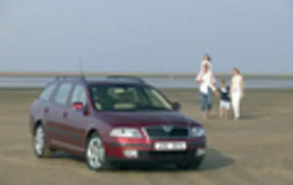 Skoda Octavia II Combi-8
