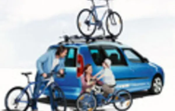 Skoda Roomster-8