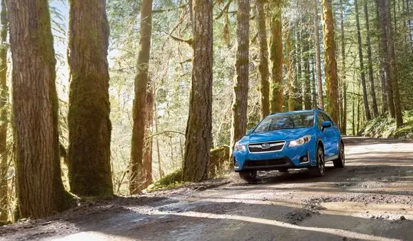 Subaru Crosstrek II-3