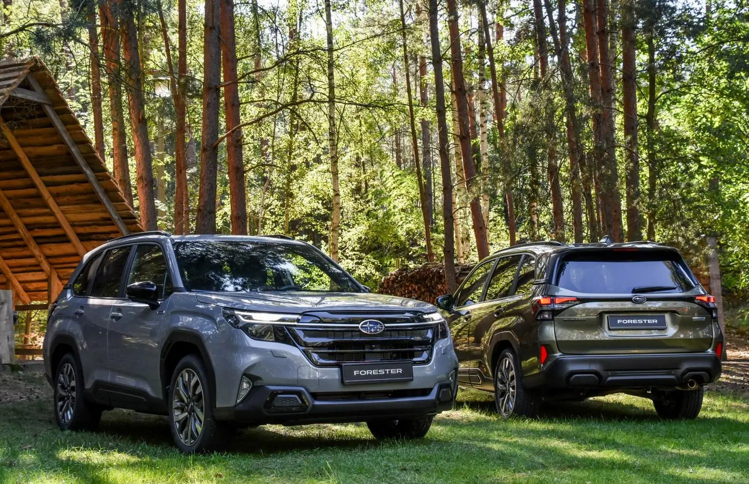 Subaru Forester VI-4