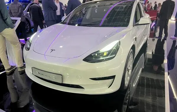 Tesla Model 3 (facelift 2020)-3