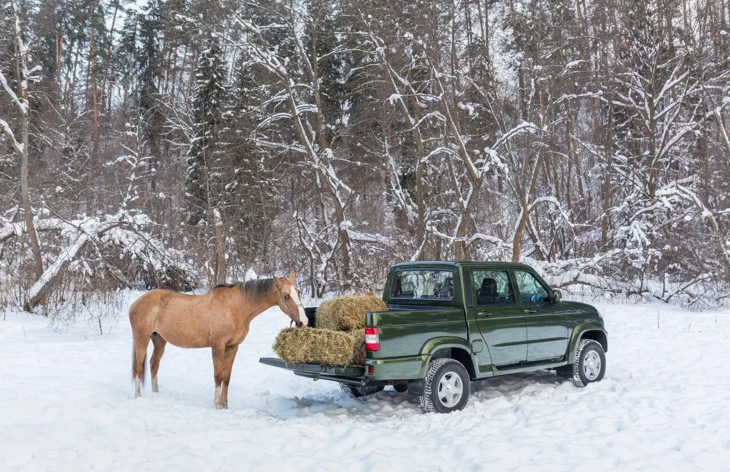 UAZ Pickup (23632, facelift 2016)-3